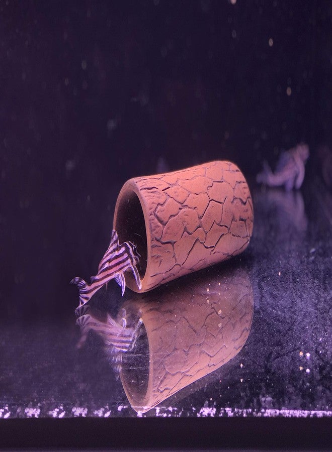 Plecoceramics مجموعة ديكورات سيراميكية لتربية أسماك البليكو في كهف (6 قطع) - Image 4